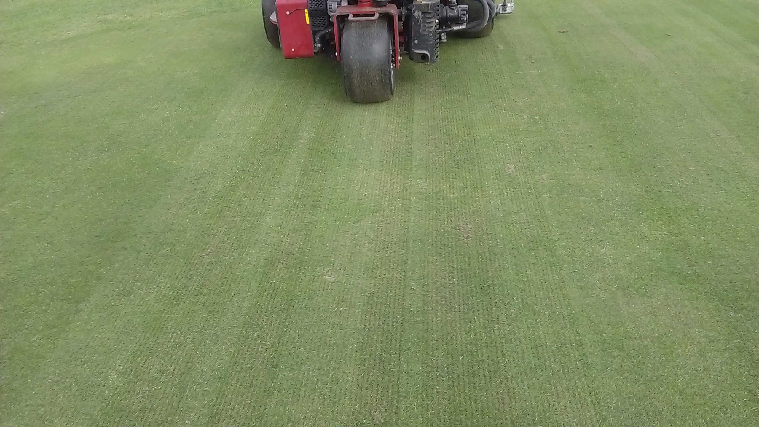 Verticutting-down-royal-golf-course-2