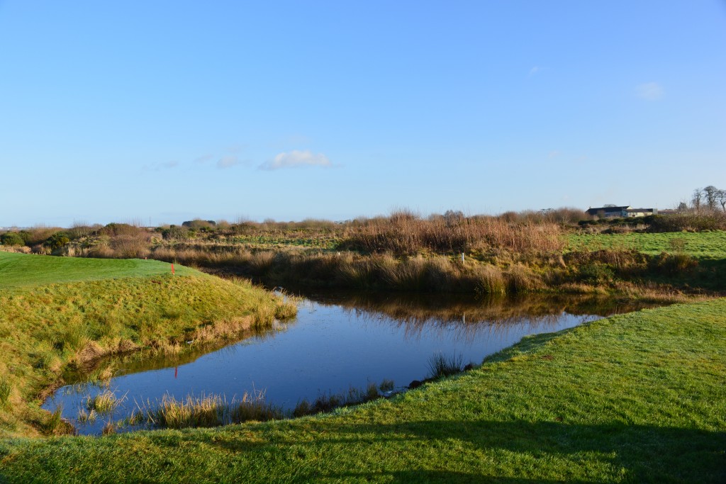 13th Hole Down Royal Park Golf Course